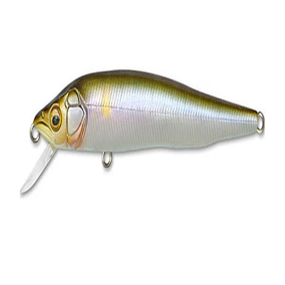 Megabass Vision Q-GO PM Setsuki Ayu