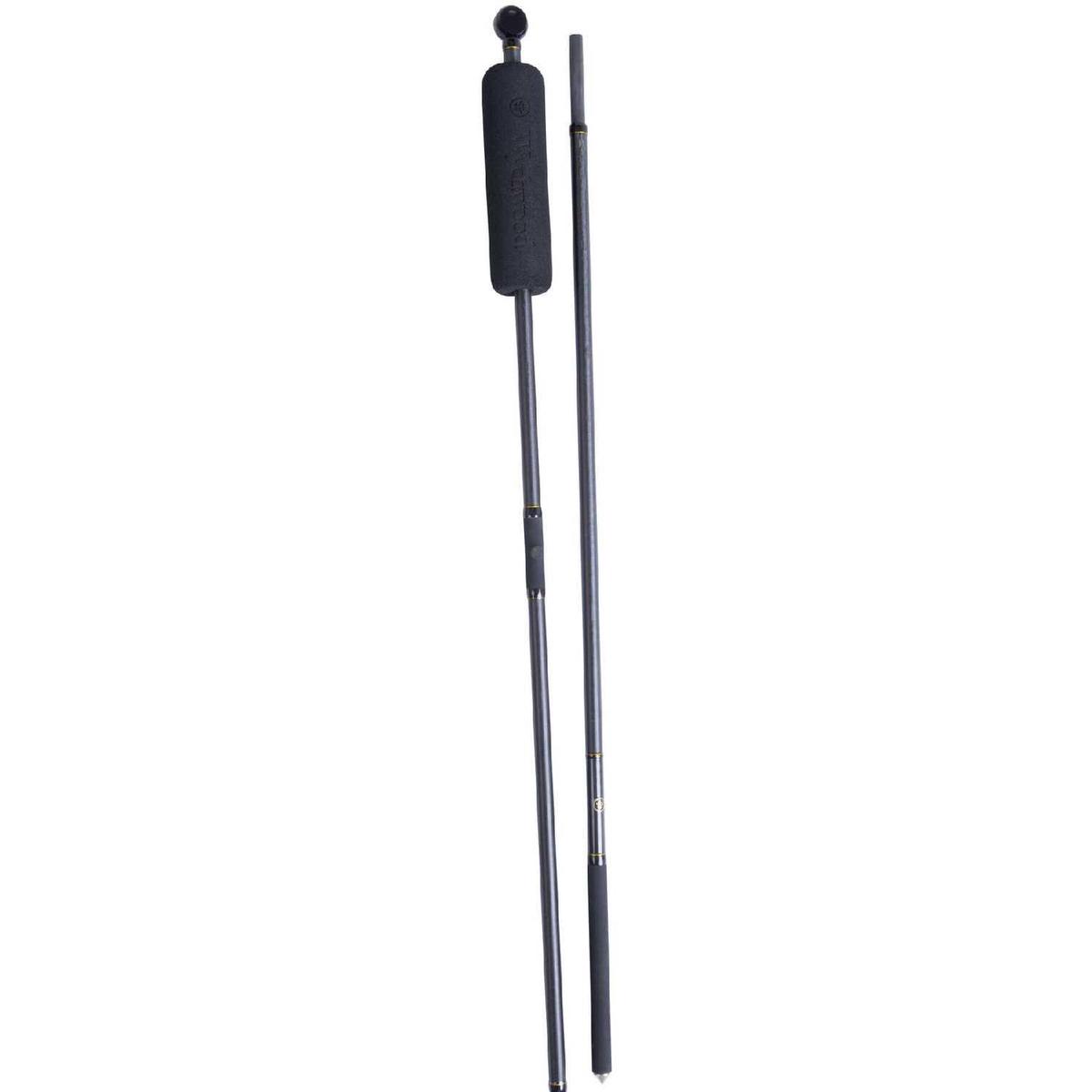 Wychwood Carp Extremis 42 Landing Net And Two Piece Handle