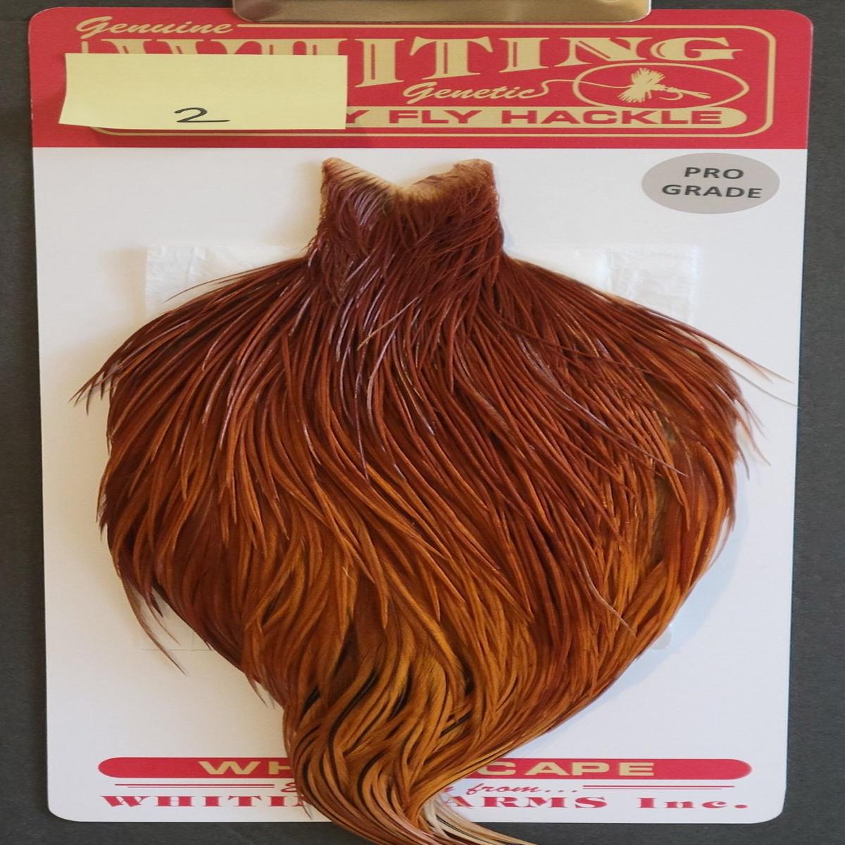 Flash Sale Hackle 2 - Whiting Cape Bronze - Brown (sizes 8-22)