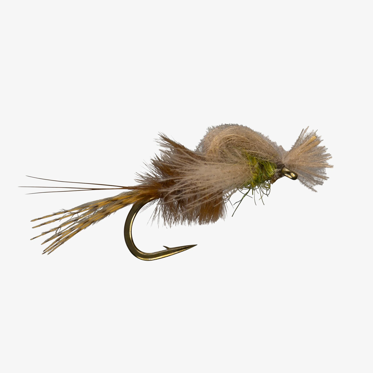 Captive Dun - Size 18