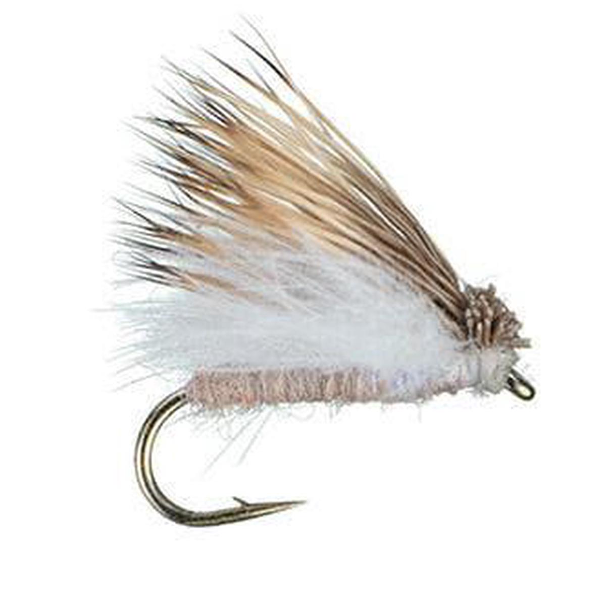 Richter Scale Spruce Moth - Size 14