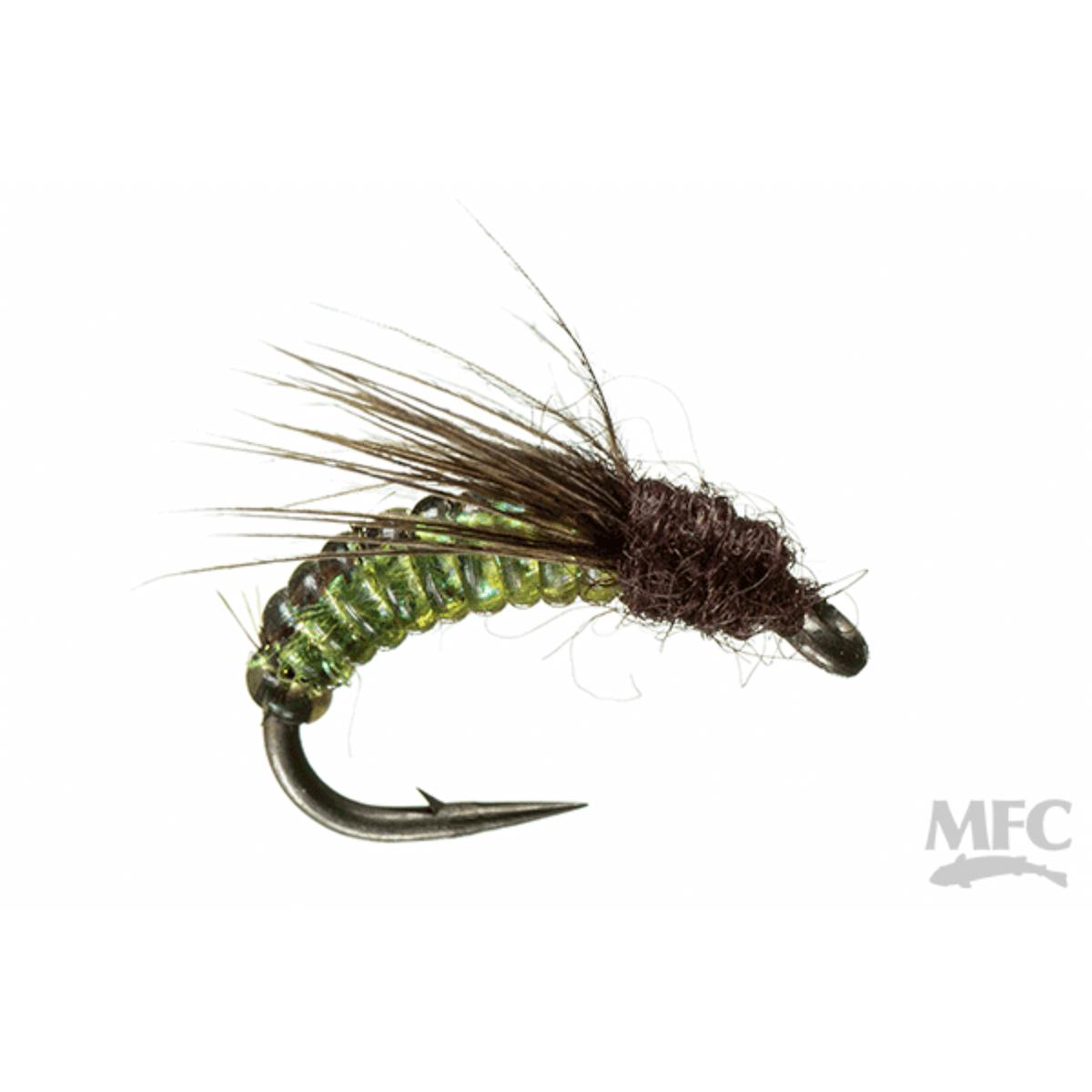 Silverman's Caddis Larva